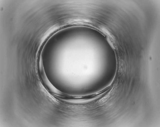 X0000088131384200705141431