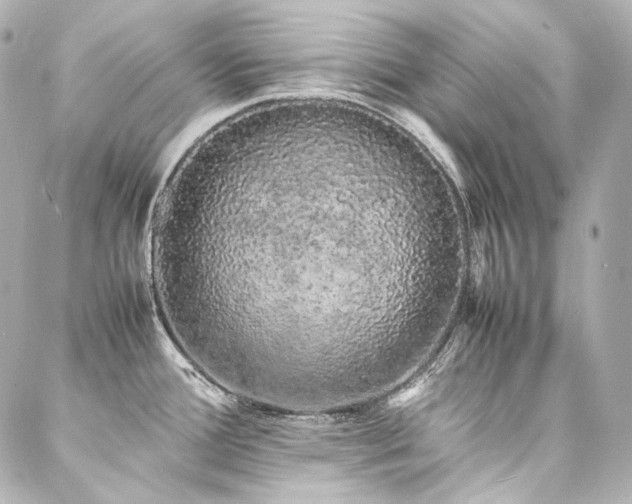 X0000088131388200705141431