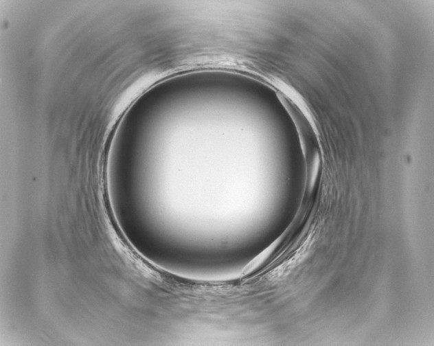 X0000088131389200705141431