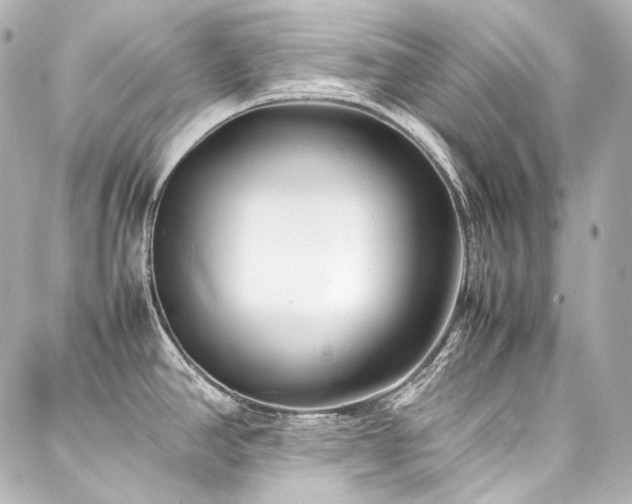 X0000088131390200705141431