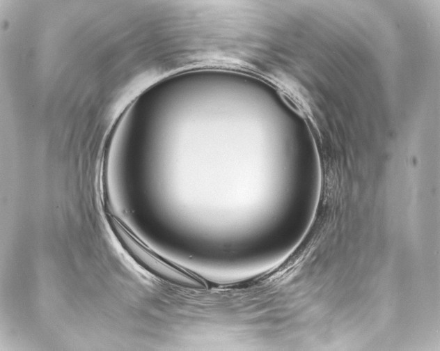 X0000088131391200705141431