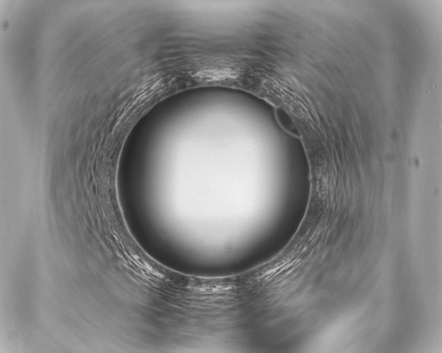 X0000088131393200705141430