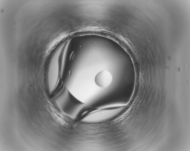 X0000088131406200705141430