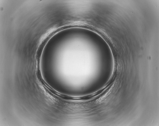 X0000088131414200705141431