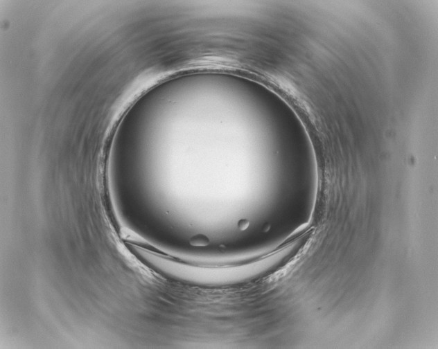 X0000088131421200705141431