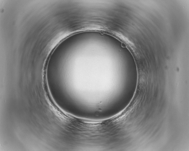 X0000088131423200705141431