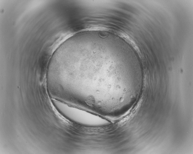 X0000088131425200705141431