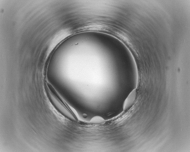 X0000088131426200705141431