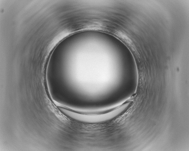 X0000088131427200705141431