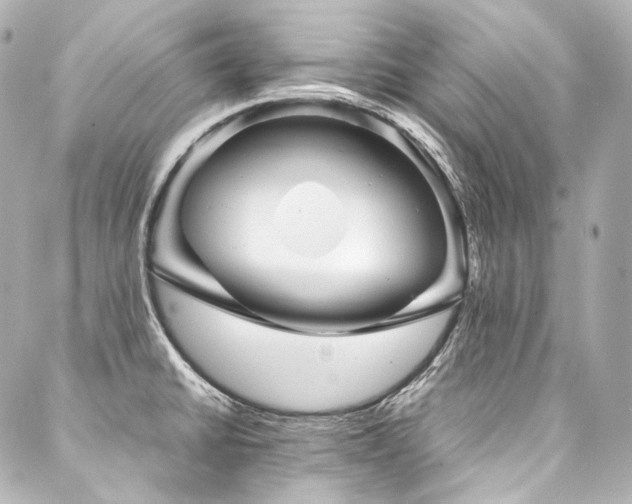 X0000088131430200705141431