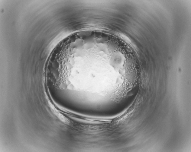 X0000088131431200705141431