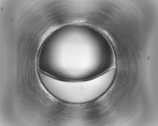 X0000088131432200705141431