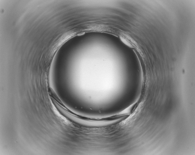 X0000088131433200705141431