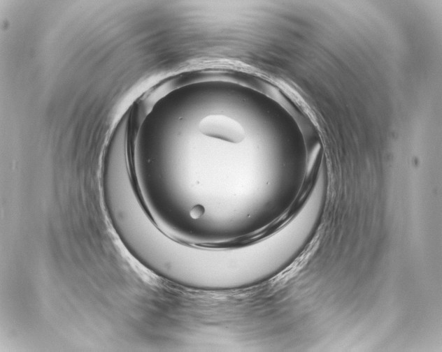 X0000088131438200705141431