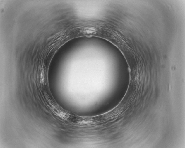 X0000088131442200705141430