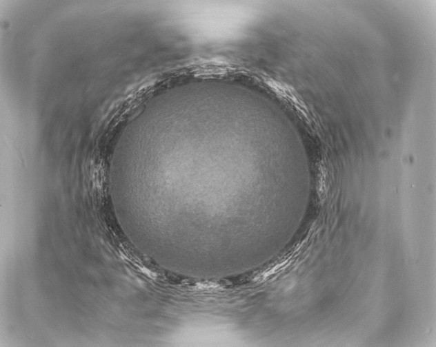 X0000088131445200705141430
