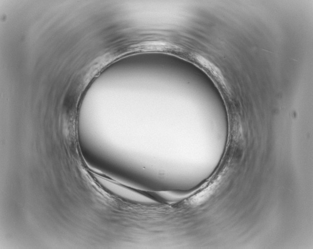 X0000088131473200705141430