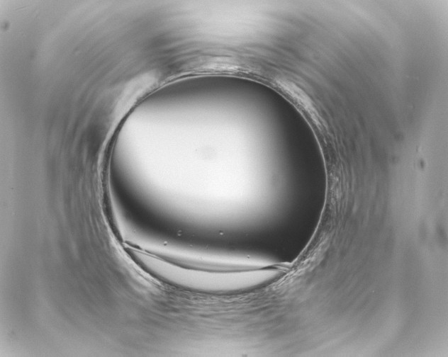 X0000088131475200705141430