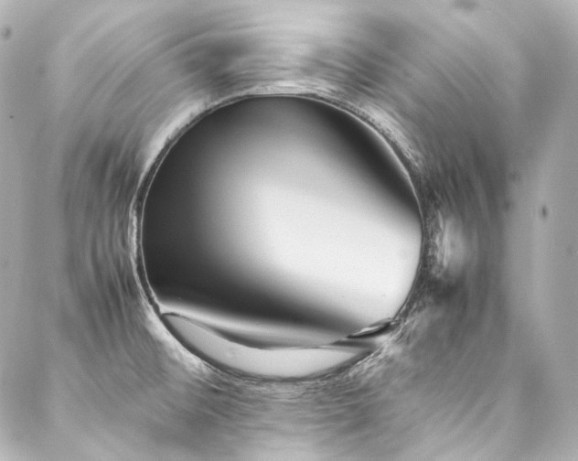 X0000088131476200705141430