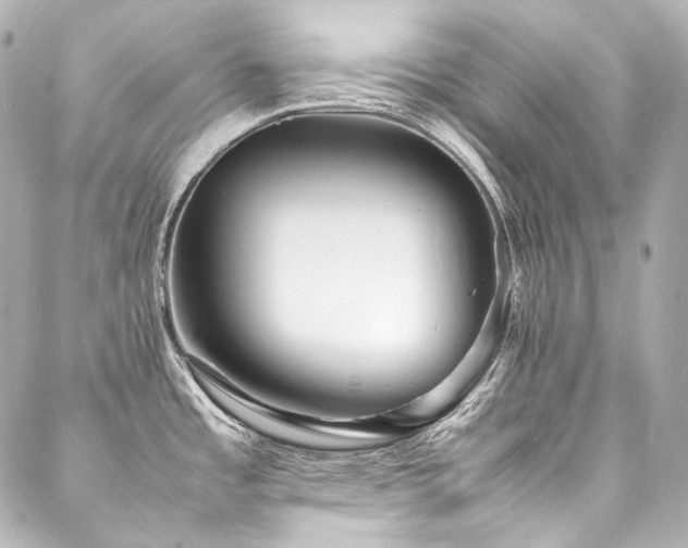 X0000088131485200705141429