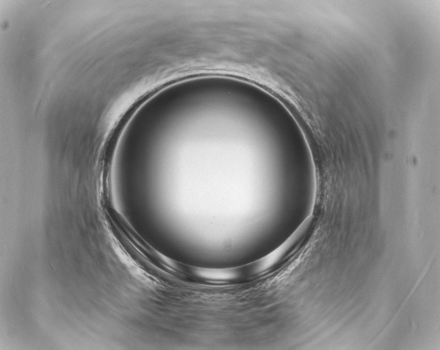 X0000088131511200705141429