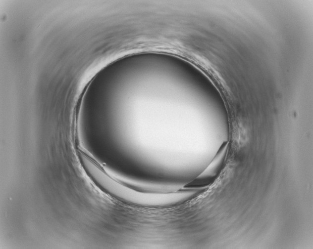 X0000088131520200705141429