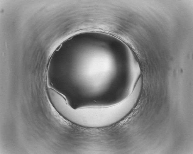 X0000088131524200705141429