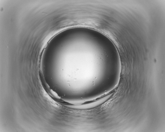 X0000088131532200705141429