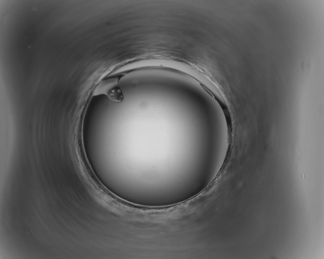 X0000088130001200705211125