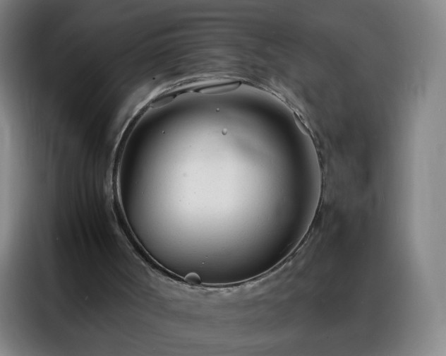 X0000088130002200705211125