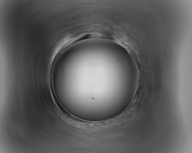 X0000088130003200705211125