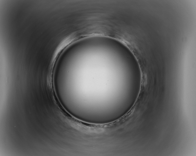 X0000088130004200705211125