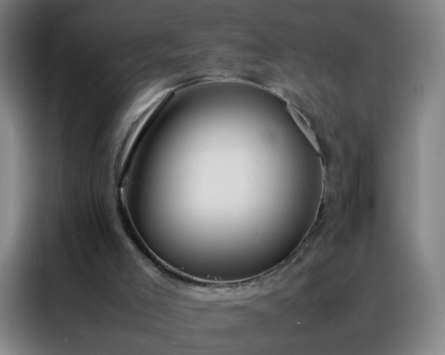 X0000088130005200705211125