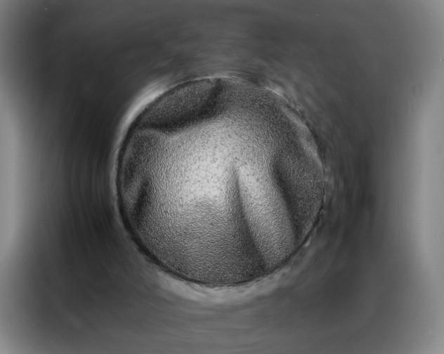 X0000088130006200705211125