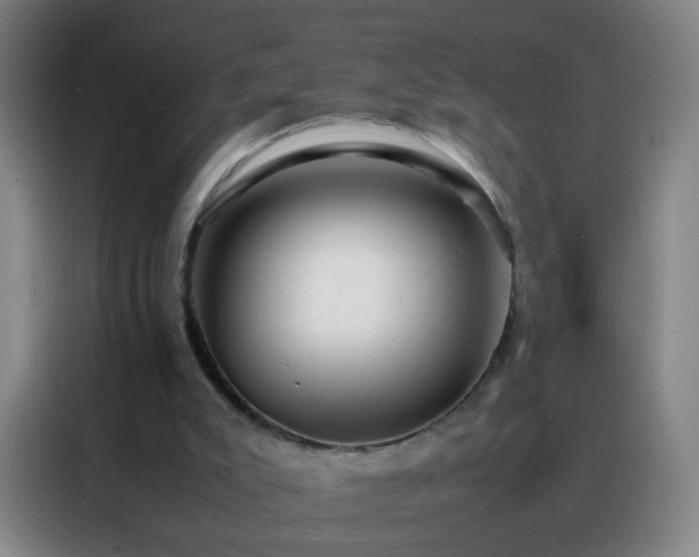 X0000088130007200705211125