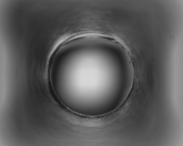 X0000088130008200705211125