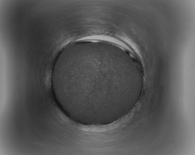 X0000088130009200705211125