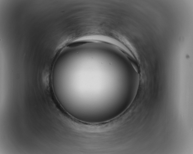 X0000088130010200705211125