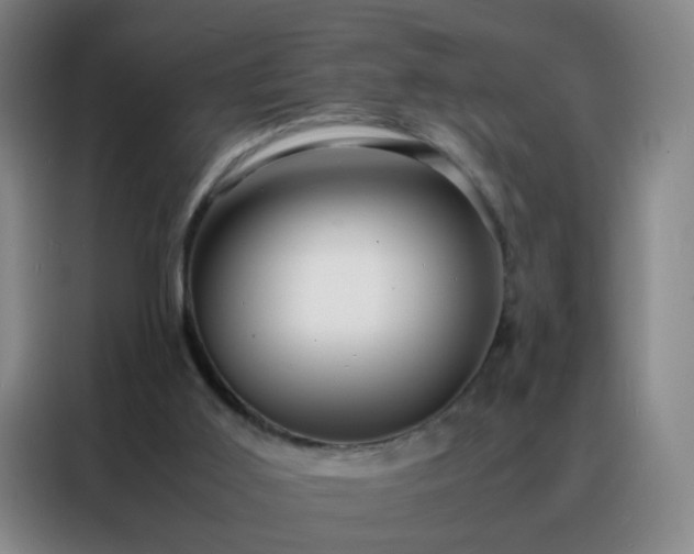 X0000088130011200705211125