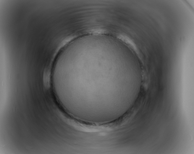 X0000088130012200705211125