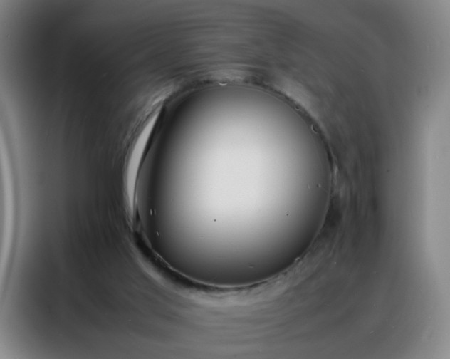 X0000088130013200705211125