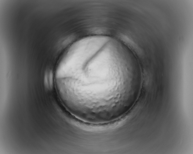 X0000088130014200705211125