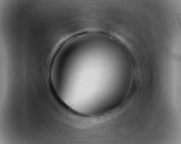 X0000088130015200705211125