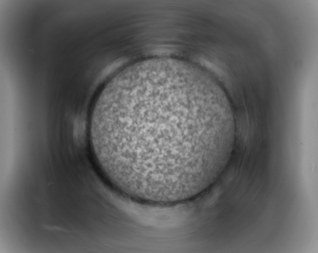 X0000088130016200705211125