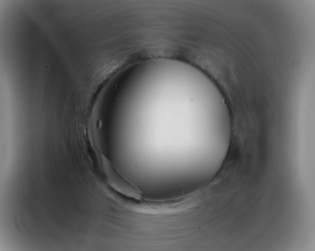 X0000088130017200705211125