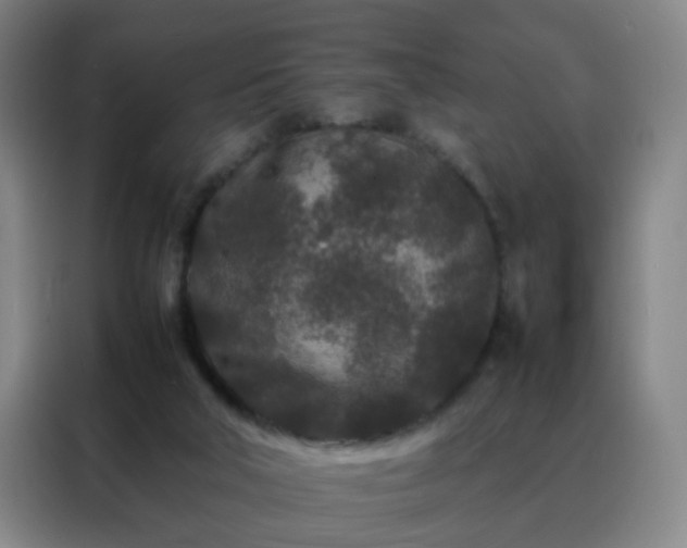 X0000088130018200705211125