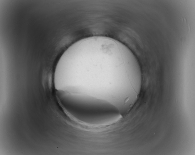 X0000088130019200705211125