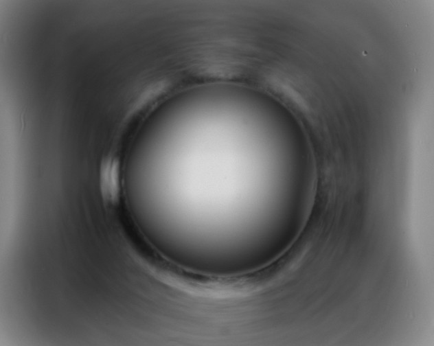 X0000088130020200705211125