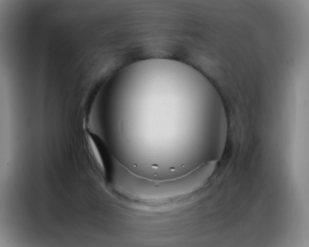 X0000088130021200705211125