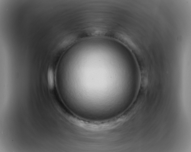 X0000088130022200705211125